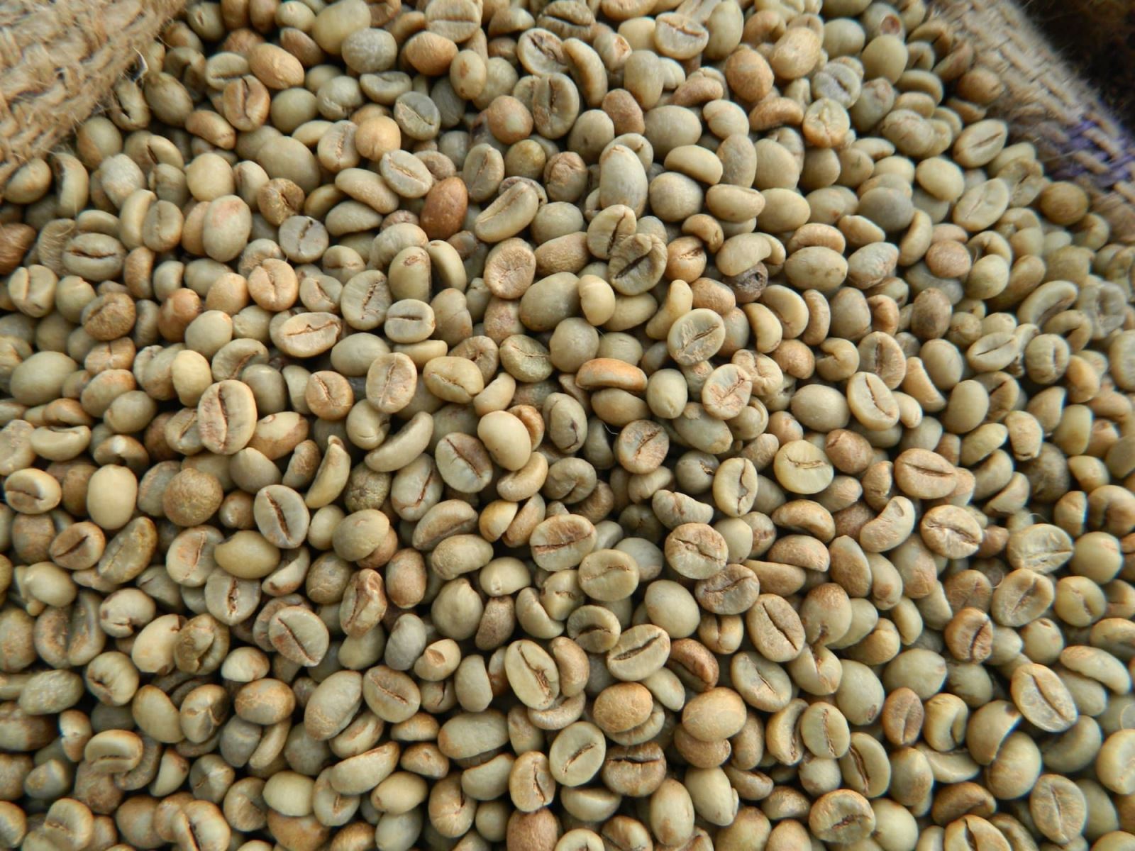 Green Coffee Beans | Premium Vietnam Coffee Supplier | Efreso